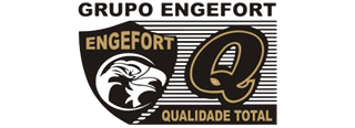 Grupo Engefort
